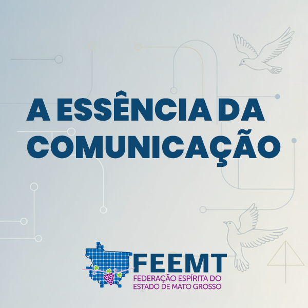 A Essência da Comunicação